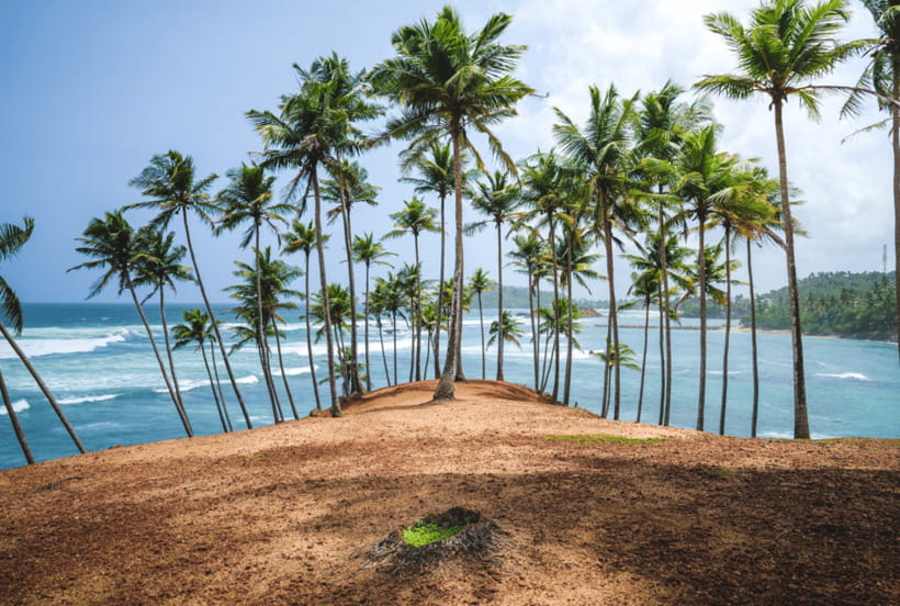 Mirissa: Whale Watching, Snorkeling, and Coconut Hill Tour - Who should book this day?