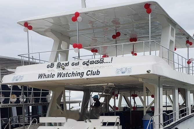 Mirissa Whale watching tour from Colombo/Negombo with Breakfast - Key points before you book