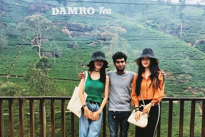 Most Popular Round Tour in Sri Lanka - Day four: Nuwara Eliya and the tea country