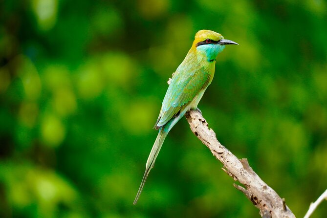 Multiday Safari and Hiking Adventure in Sri Lanka - Practical points before you book