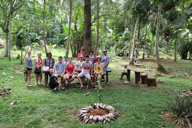 Nandana Tea Walking Tour in Sri Lanka - From fresh leaf to finished orthodox black tea