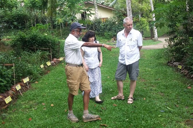 Nandana Tea Walking Tour in Sri Lanka - Seven cups make the tasting worthwhile