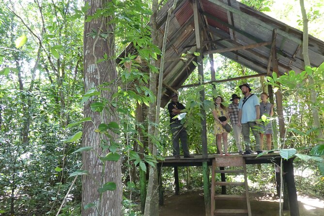 Nandana Tea Walking Tour in Sri Lanka - Is $78 good value?