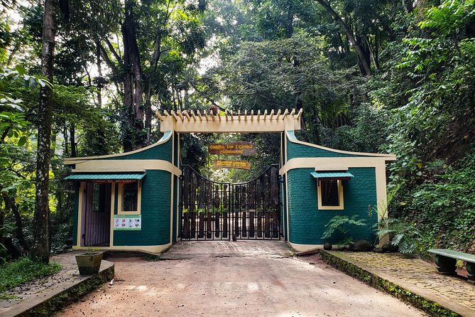 Nature Tour to Udawatte Kele Sanctuary, Kandy from Bentota - Why Udawatte Kele is worth the long ride from Bentota