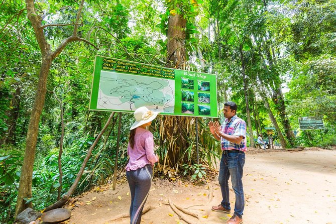 Nature Tour to Udawatte Kele Sanctuary, Kandy from Bentota - Practical details that can shape your day