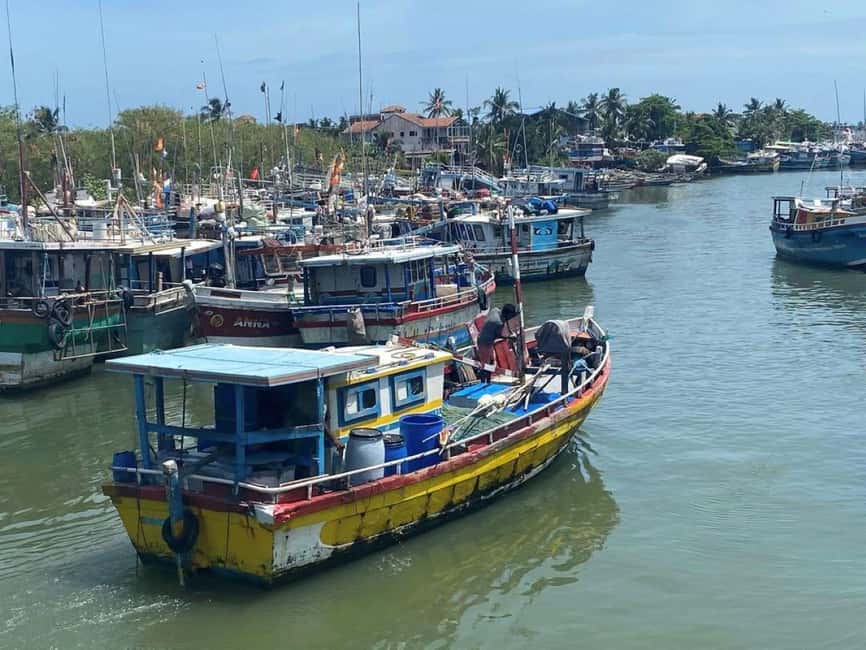 Negombo by Scooty: Ride Through the City’s Best Spots - Spicy Garden and the value of included food