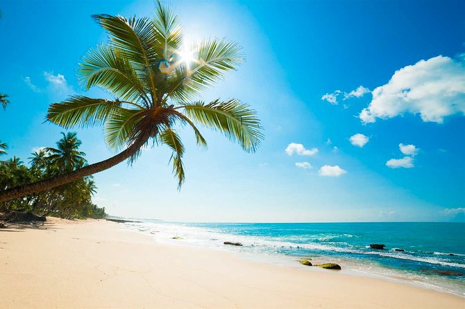 Negombo City Tour from Colombo - Starting at 8:30 with private transport