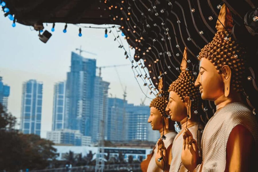 Negombo & Colombo: Full-Day Tour with Lunch - Why this Negombo and Colombo combination works