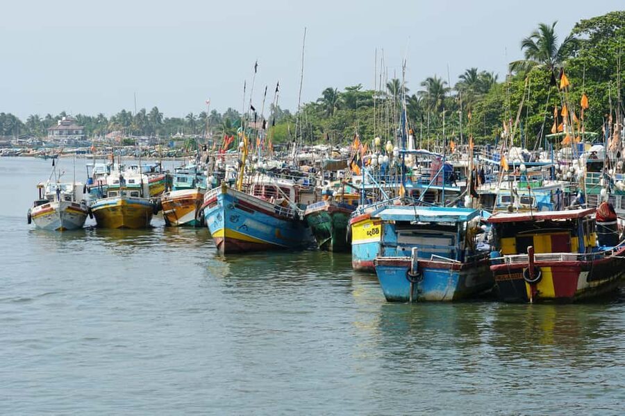 Negombo & Colombo: Full-Day Tour with Lunch - Lunch and a walk through Pettah Market