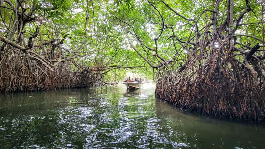 Negombo/Colombo:Private Galle Dutch Fort & Madu River Safari - What to bring and how to prepare