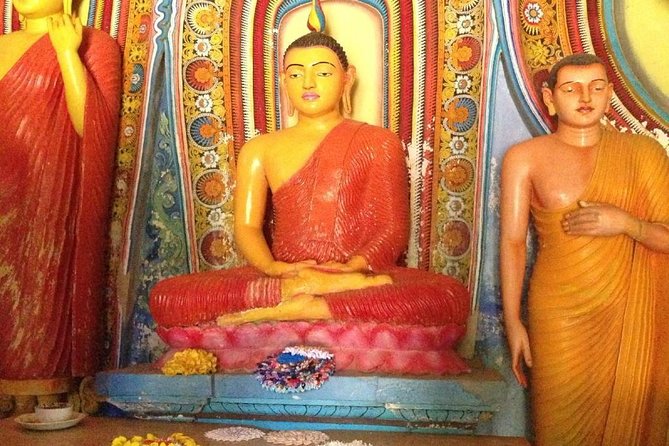 Negombo Day Tour - Why the private format matters
