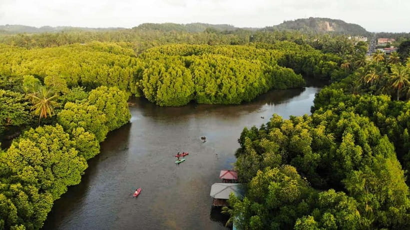 Negombo: Guided Kayaking Tour in the Lagoon - Key points to know before you paddle