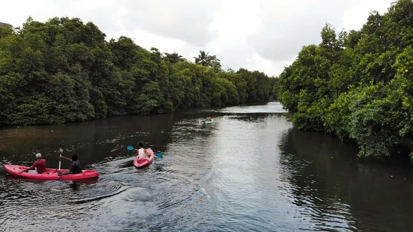 Negombo: Guided Kayaking Tour in the Lagoon - Starting at Captain’s Landing