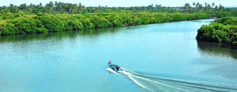 Negombo: Hamilton Canal to Colombo by Boat via Muthurajawela - Following the Dutch Canal for about 45 minutes