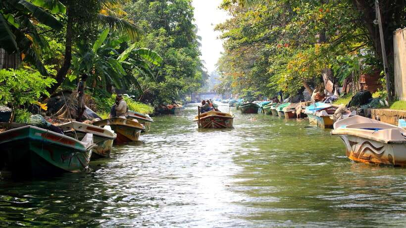 Negombo: Hamilton Canal to Colombo by Boat via Muthurajawela - Is $80 per person a fair price?