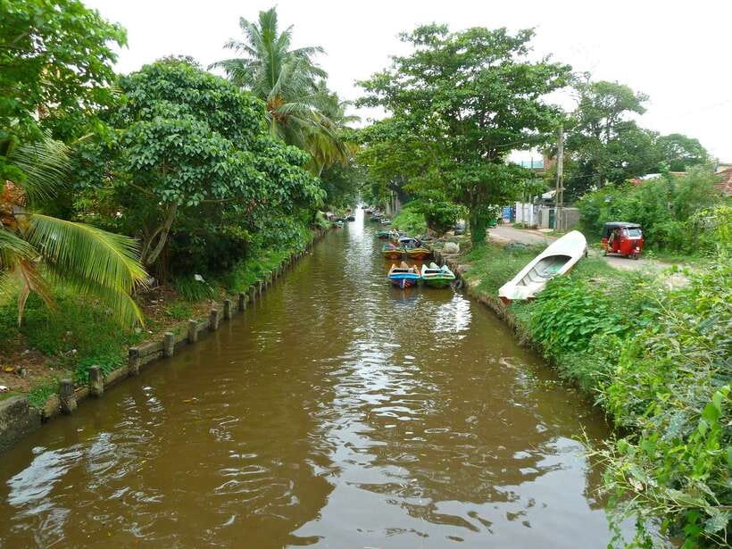 Negombo: Hamilton Canal to Colombo by Boat via Muthurajawela - Starting from Negombo, Waikkal, or Katunayake