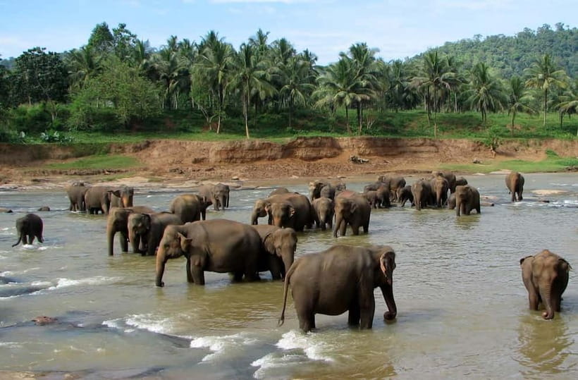 Negombo: Kandy and Pinnawala Elephant Orphanage Day Tour - The road toward Kandy