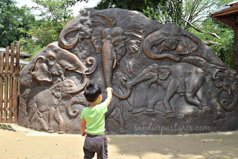 Negombo: Kandy and Pinnawala Elephant Orphanage Day Tour - Meeting elephants at Pinnawala