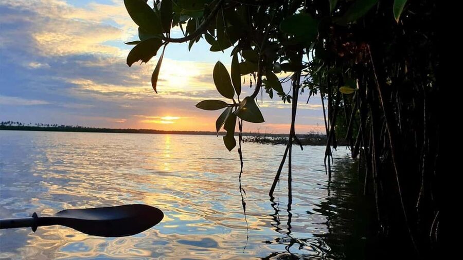 Negombo: Kayaking in the Lagoon - Key Points Before You Paddle