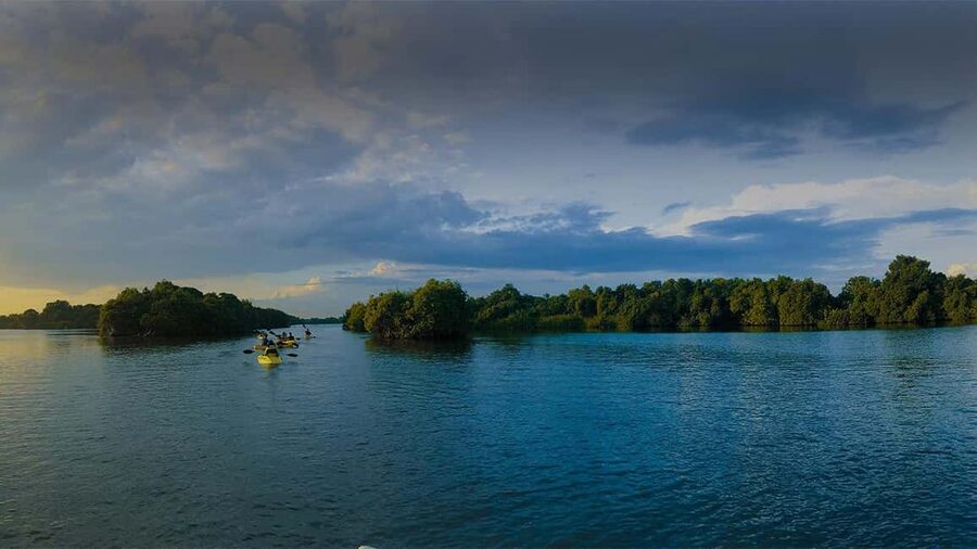 Negombo: Kayaking in the Lagoon - Why the Two-Hour Length Works