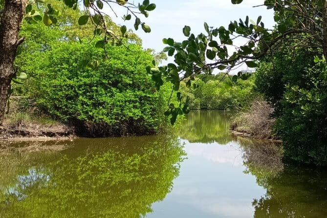 Negombo Lagoon Boat Safari Hotel Pickup(Monkey,Mangrove) - What is included and what is not