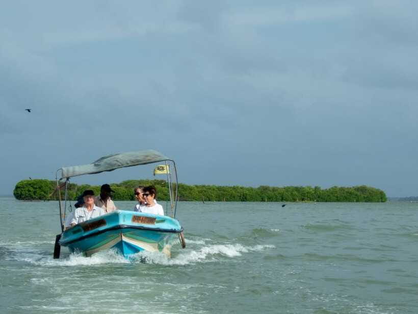 Negombo Lagoon (Mangrove ) Boat Excursion - Water birds and the possible gull colony