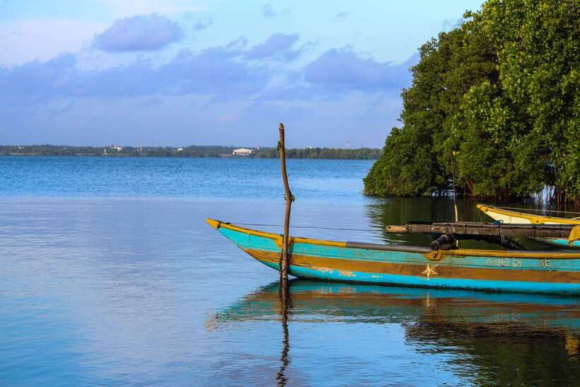 Negombo Lagoon (Mangrove ) Boat Excursion - The food question: seafood lunch or bring your own plan