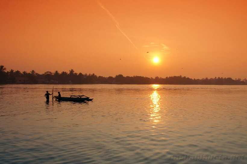 Negombo Lagoon (Mangrove ) Boat Excursion - Negombo Fish Market in ten minutes