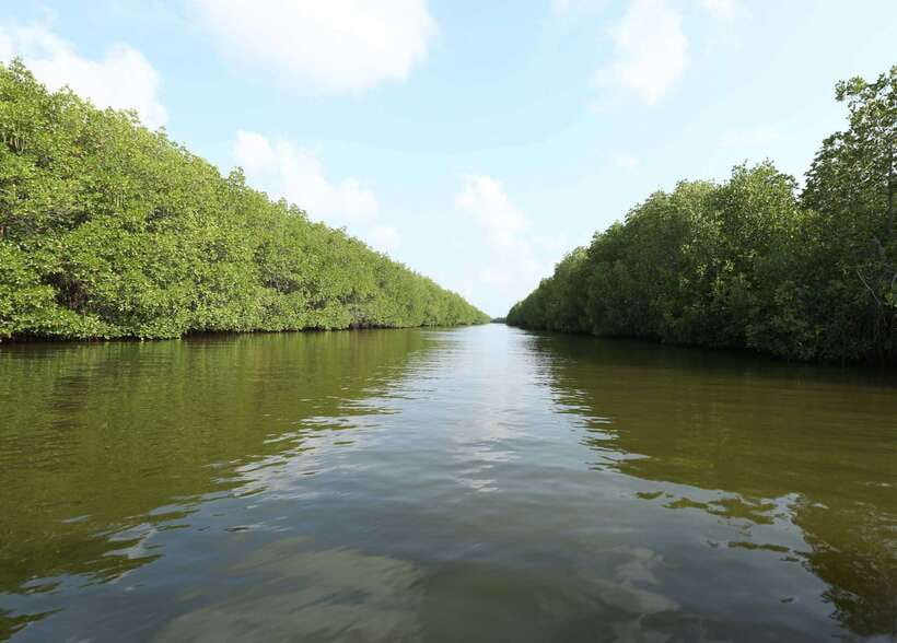 Negombo Lagoon (Mangrove ) Boat Excursion - Is $120 good value for a private group?