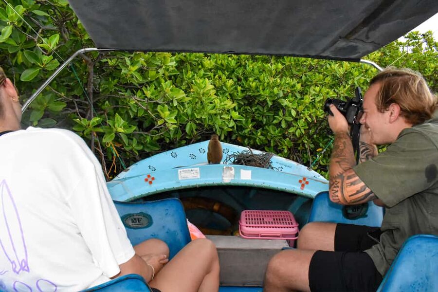 Negombo: Sunset lagoon boat tour with hotel transfers - Why this Negombo Lagoon trip is worth your time