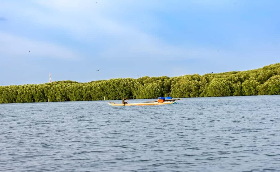 Negombo: Sunset lagoon boat tour with hotel transfers - Meeting the fishermen on Negombo Lagoon