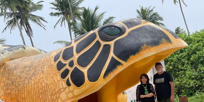 Negombo: Turtle hatchery, River safari, moon stone & Galle - Madu River Safari: The Best Break From the Road