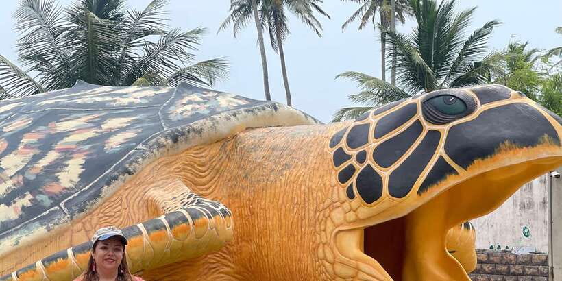 Negombo: Turtle hatchery, River safari, moon stone & Galle - Bentota Beach: A Quick Coastal Introduction