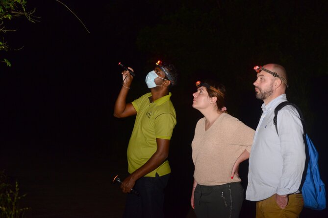 Night Hike to see Elusive & Rare Loris in Sigiriya - Why a Loris Walk Belongs in Your Sigiriya Plans
