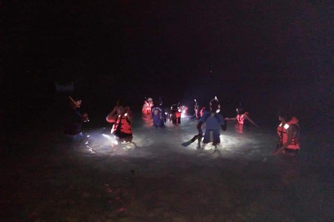 Night Snorkeling Experience in Mirissa - What makes this Mirissa night snorkel special