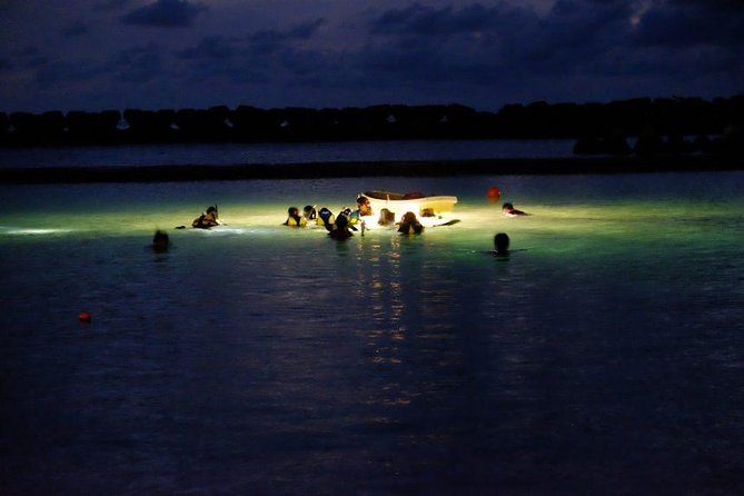 Night Snorkeling Experience in Mirissa - Seeing the reef with a flashlight