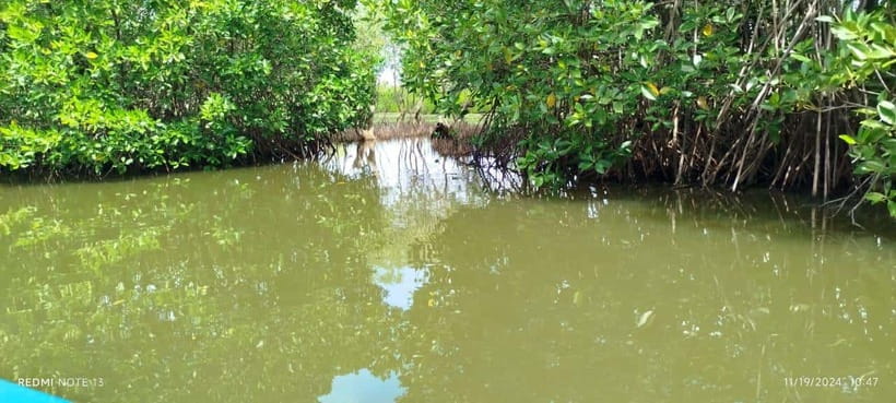 Nilaveli: Lagoon Boat Safari with Mangrove Exploration - Key points to know before you book