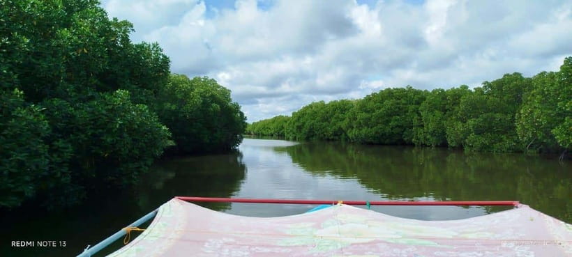 Nilaveli: Lagoon Boat Safari with Mangrove Exploration - The mangrove section is the heart of the ride