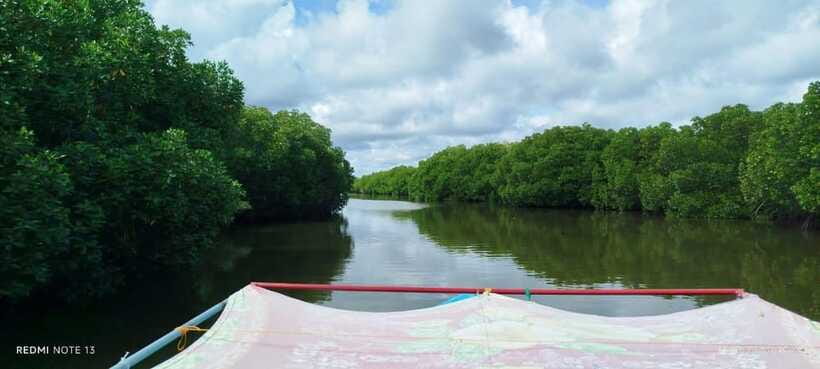 Nilaveli: Lagoon Boat Safari with Mangrove Exploration - Birds, fish, and the crocodile question