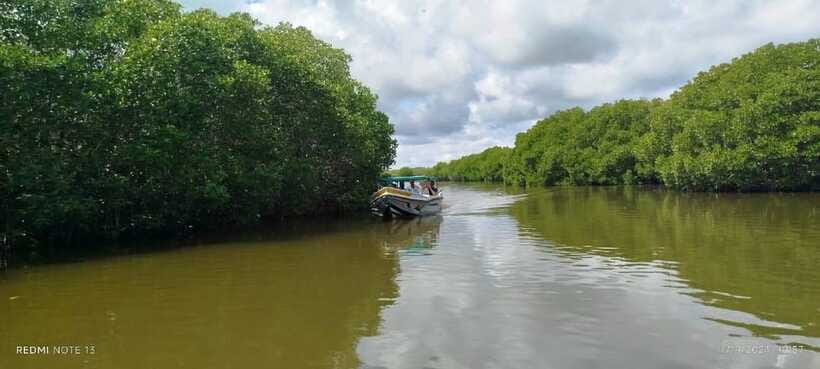 Nilaveli: Lagoon Boat Safari with Mangrove Exploration - What the two-hour itinerary feels like