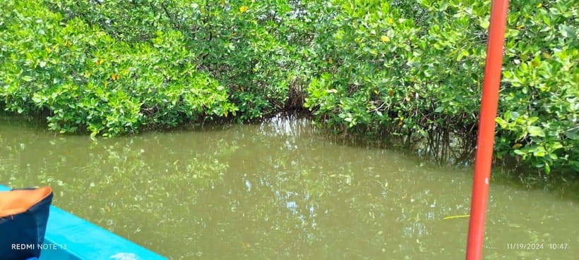 Nilaveli: Lagoon Boat Safari with Mangrove Exploration - Is $27 good value for two hours?