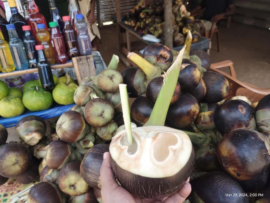 Nilaveli: Trinco City tour by Tuk Tuk - Kanniya hot water springs