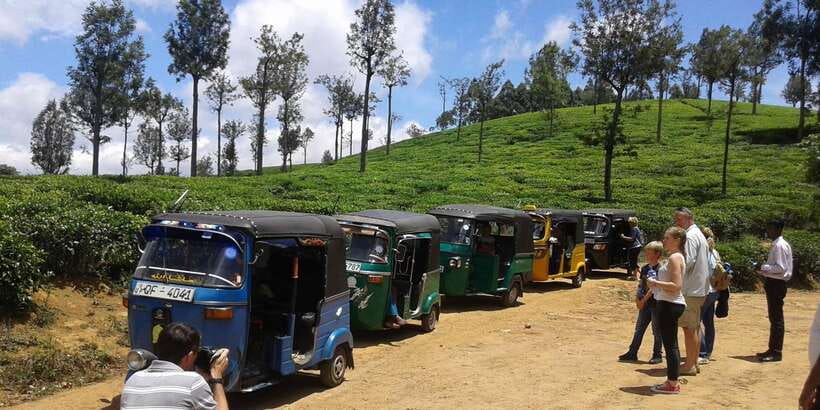 Nuwara Eliya: All-Inclusive Ella Sightseeing Private Tour - Little Adam’s Peak and the view toward Ella Gap