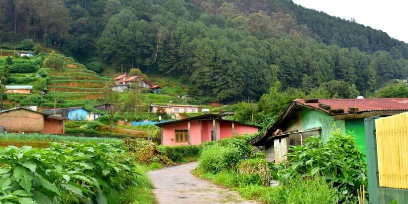 Nuwara Eliya: All-Inclusive Private Sightseeing Day Tour - Lunch and a taste of Nuwara Eliya town