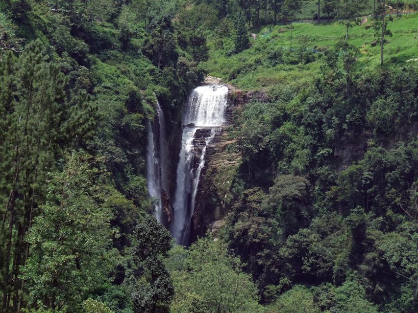 Nuwara Eliya: All-Inclusive Private Sightseeing Day Tour - Gregory Lake closes the day with room to choose