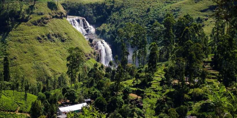 Nuwara Eliya: All-Inclusive Private Sightseeing Day Tour - Clothing, temple etiquette, and what to pack