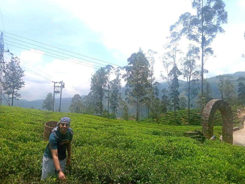 Nuwara Eliya Full day: 5Waterfalls, 2Tea Test & pick by TUK - St. Clair Falls and the Long Cascade Views