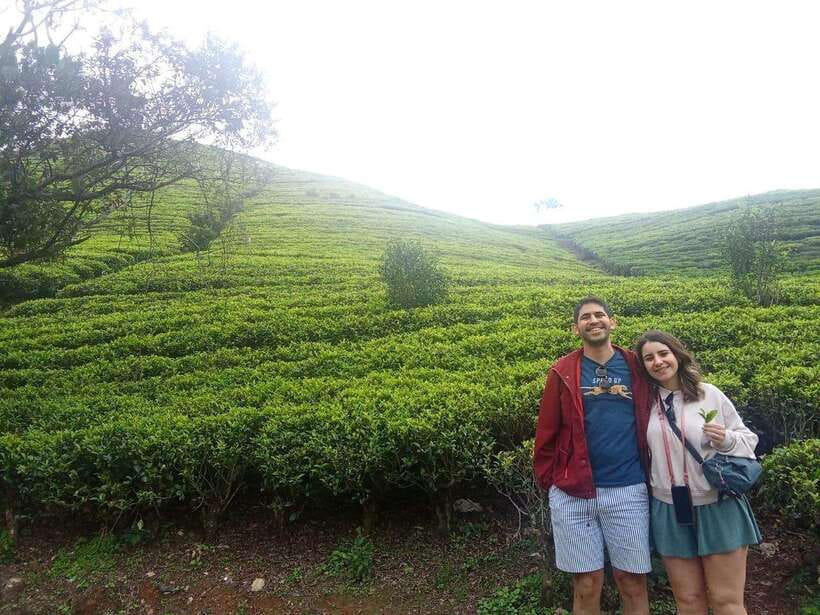 Nuwara Eliya Full day: 5Waterfalls, 2Tea Test & pick by TUK - Oak Ray Tea Factory and Museum