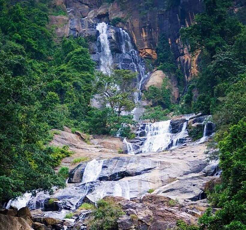 Nuwara Eliya: Tea Factory and Pickle Waterfalls Tuk Tuk Tour - Blue Field adds a second view of Ceylon tea