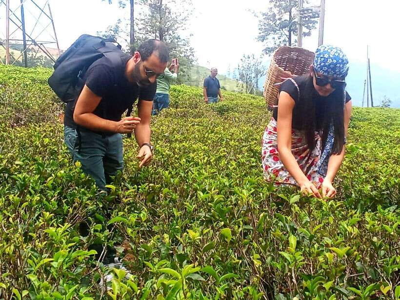 Nuwara Eliya: Tea Factory and Pickle Waterfalls Tuk Tuk Tour - Ramboda Falls, the tour’s main physical challenge